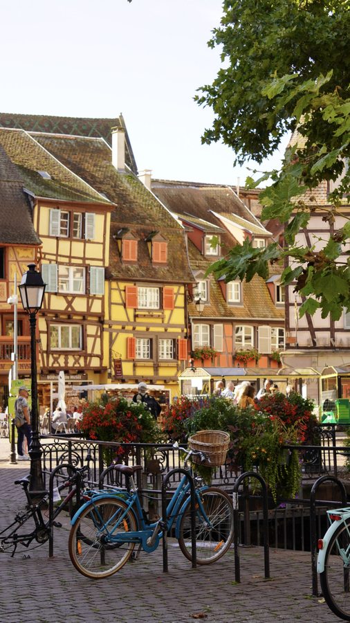 Street · 1-_DSC7572