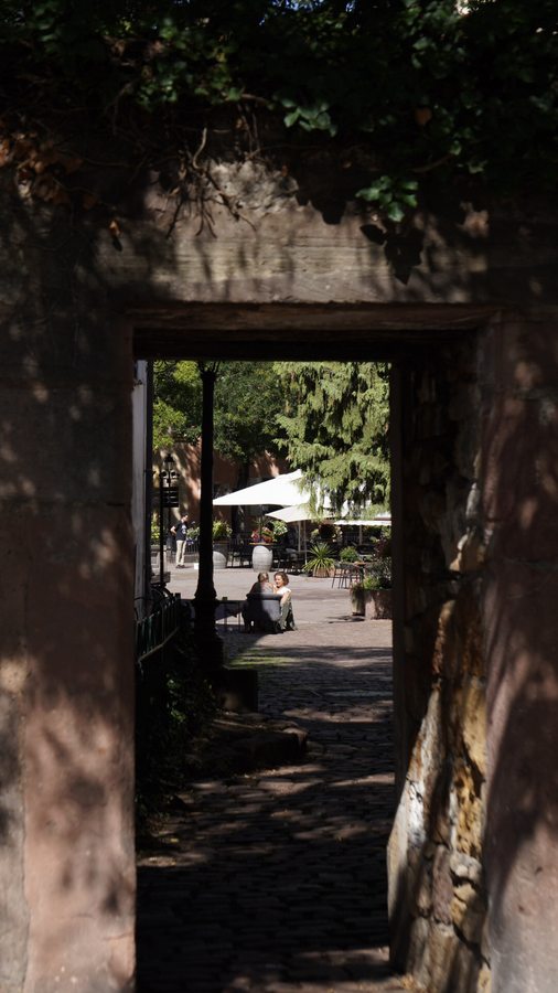 Street · 1-_DSC7572